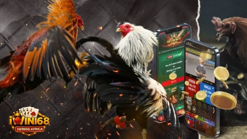 Các hình thức cá cược đá gà online thịnh hành