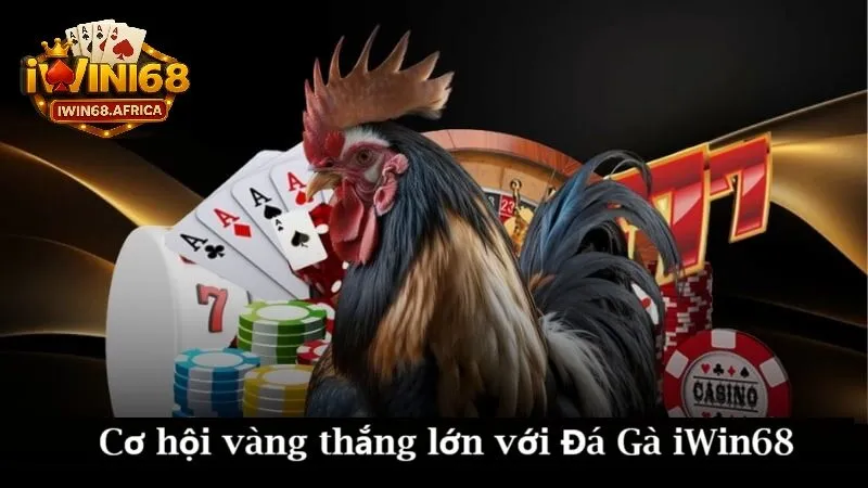 Cơ hội vàng thắng lớn với đá gà iWin68