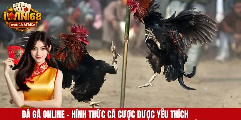 Giới thiệu về đá gà online iwin68
